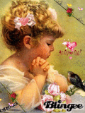 mon amour d oiseau