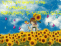 girasole