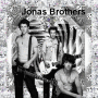 Jonas Brothers in silber