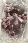la dame aux roses