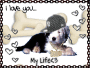 dogs r my life