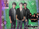 The Jonas Brothers
