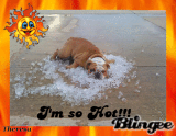 I AM SO HOT!!! TOP 71