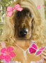 rubyjones