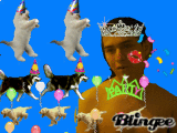 Animated Picture