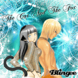 ~The Cat and the Fox~