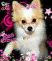 Soooo Cute! Soooo Cute!