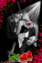Hidden Kiss