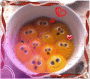 sweet sweet