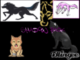 Shadowpack