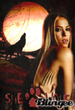 Shakira she wolf