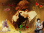 twilight
