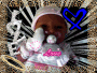 love bug