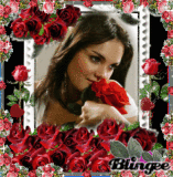 ROSES   RED'S   LADY