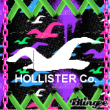 Hollister Co.