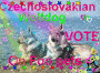 Czechoslovakian Wolfdog on foo pets
