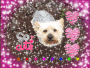 Glitter987