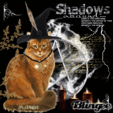 Shadows Abound