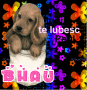 te iubesc