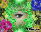 Tropic Eye