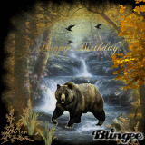 Happy Birthday Bear!!