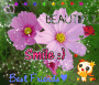To all my BFFS To all my BFFS