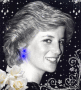 ladydi70