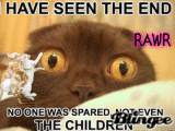 LOL Cat Has *Seen The End*