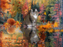 Happy Fall Happy Fall