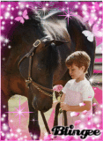 Pferd