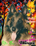 HAPPY AUTUMN