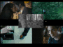Twilight