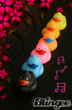 Enten