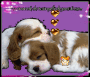 princess-girl98