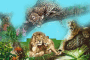 animals