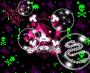 calaveras colours