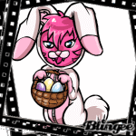 bunny