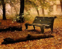 simply bench
