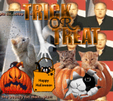 Fat Bouncing Rush Limbaugh vs Halloween Cats