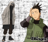 Shino and Shikamaru