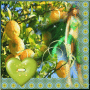 Fairy