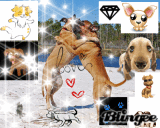 Doggies rule :D