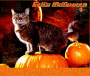 Feliz Halloween