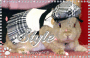 Style Bunny Style Bunny