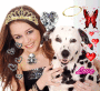Miley kiff le chien 