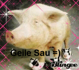 Geile Sau