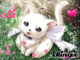 chaton trop mignon