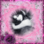 Belle Dame