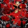 Rouge et noir...encore Rouge et noir...encore