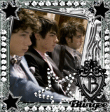 The jonas